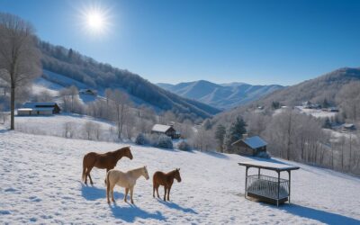 Winter Season means new adventures and fun