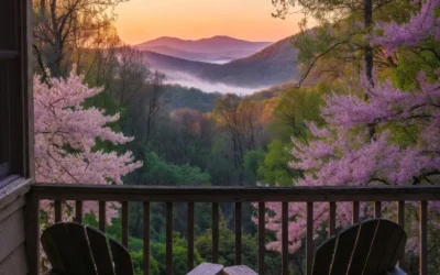 Spring & Summer in the Carolinas: Your Ultimate Soluna Stays Guide